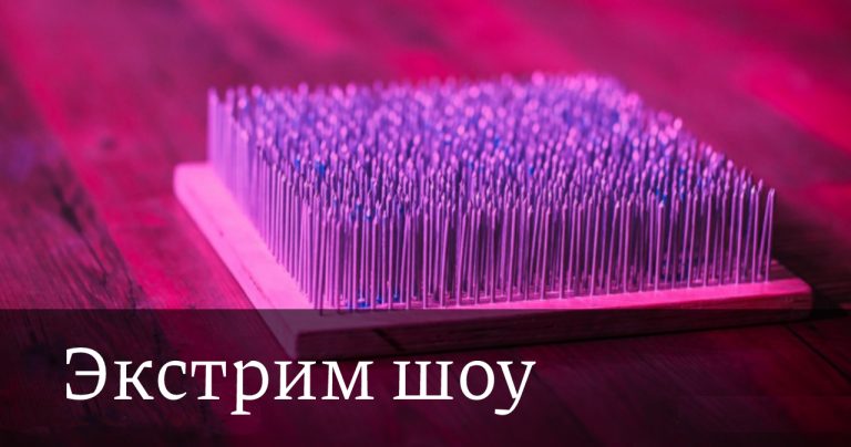 Экстрим-шоу