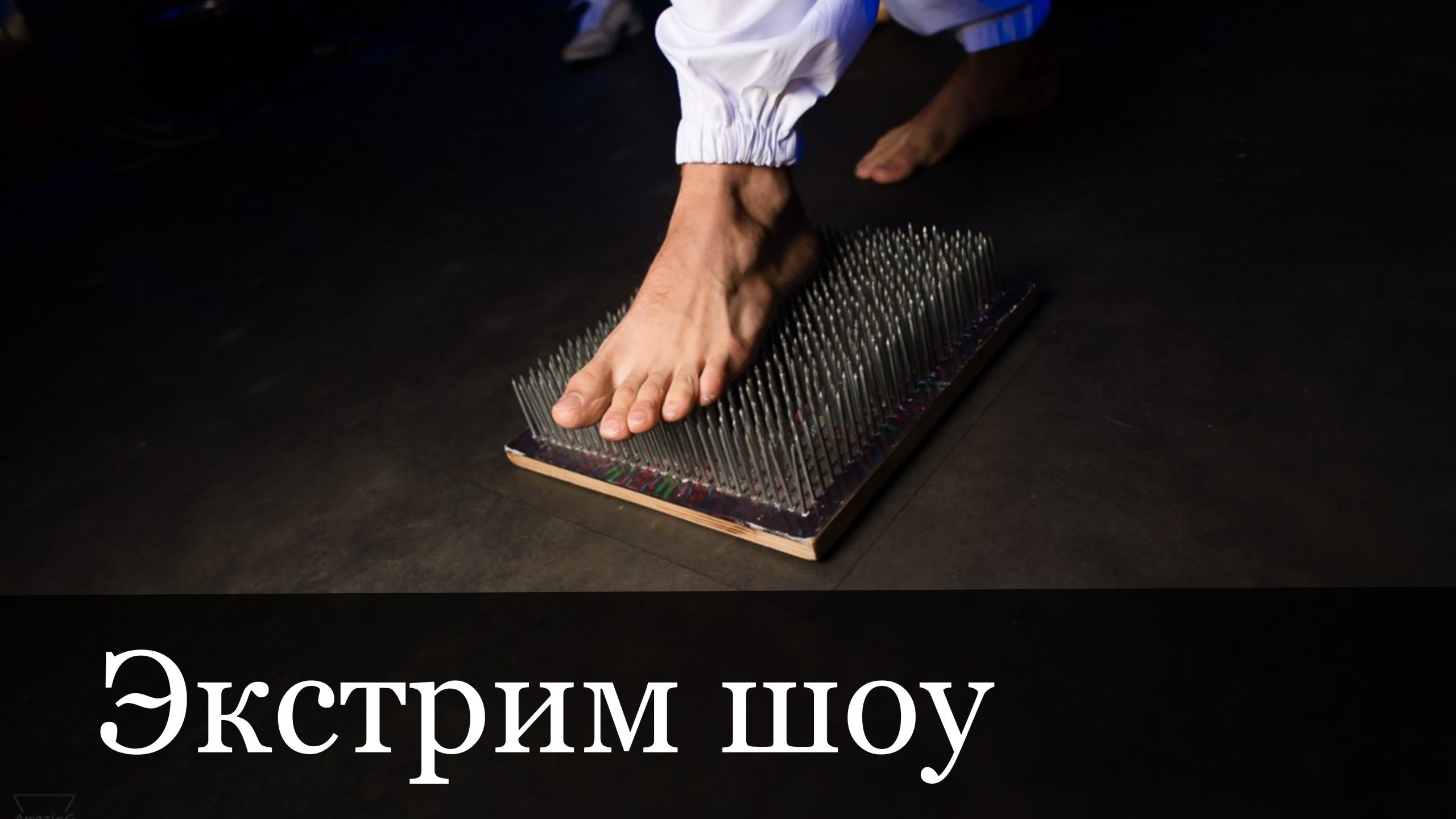 Экстрим-шоу